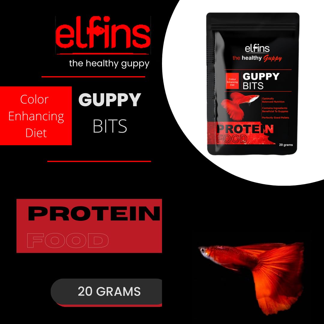 Guppy Bits