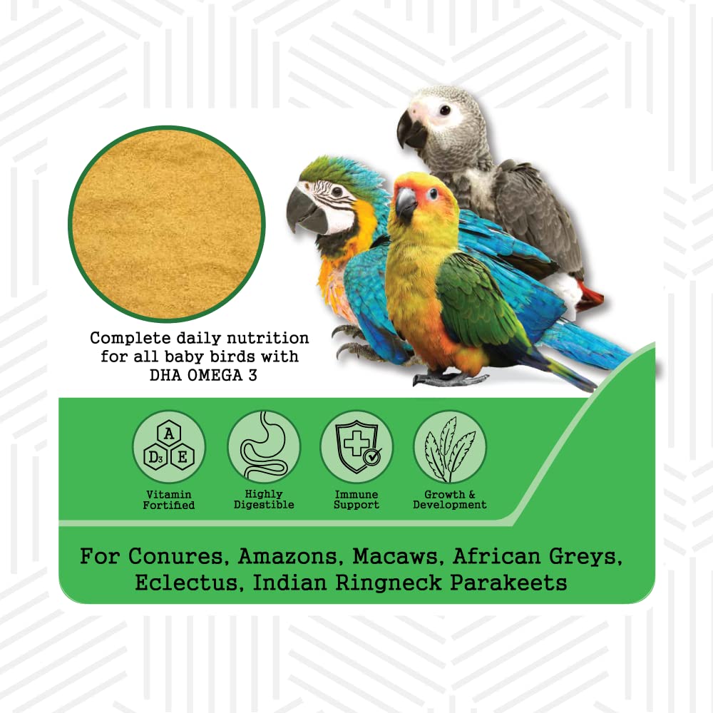 Hand Feeding Formula for Baby Birds jyoti aquarium pets