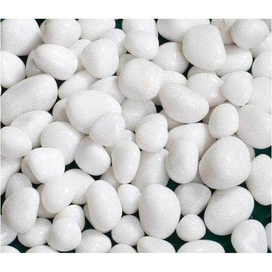 Polished White Pebbles Glossy Stones 1kg jyoti aquarium pets
