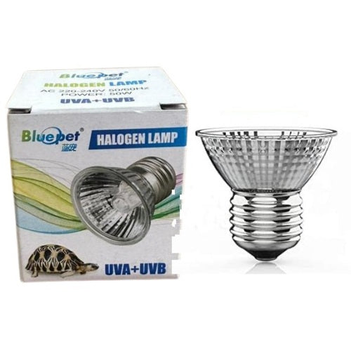 UV Lamp for Tortoises, Turtle Tank