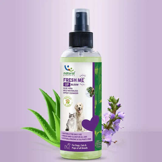 Fresh Me Up Bloom Aloevera Dry Bath jyoti aquarium pets
