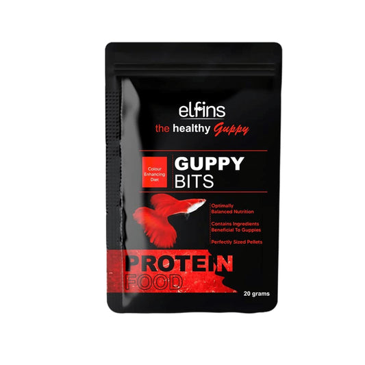 Guppy Bits
Guppy fish food