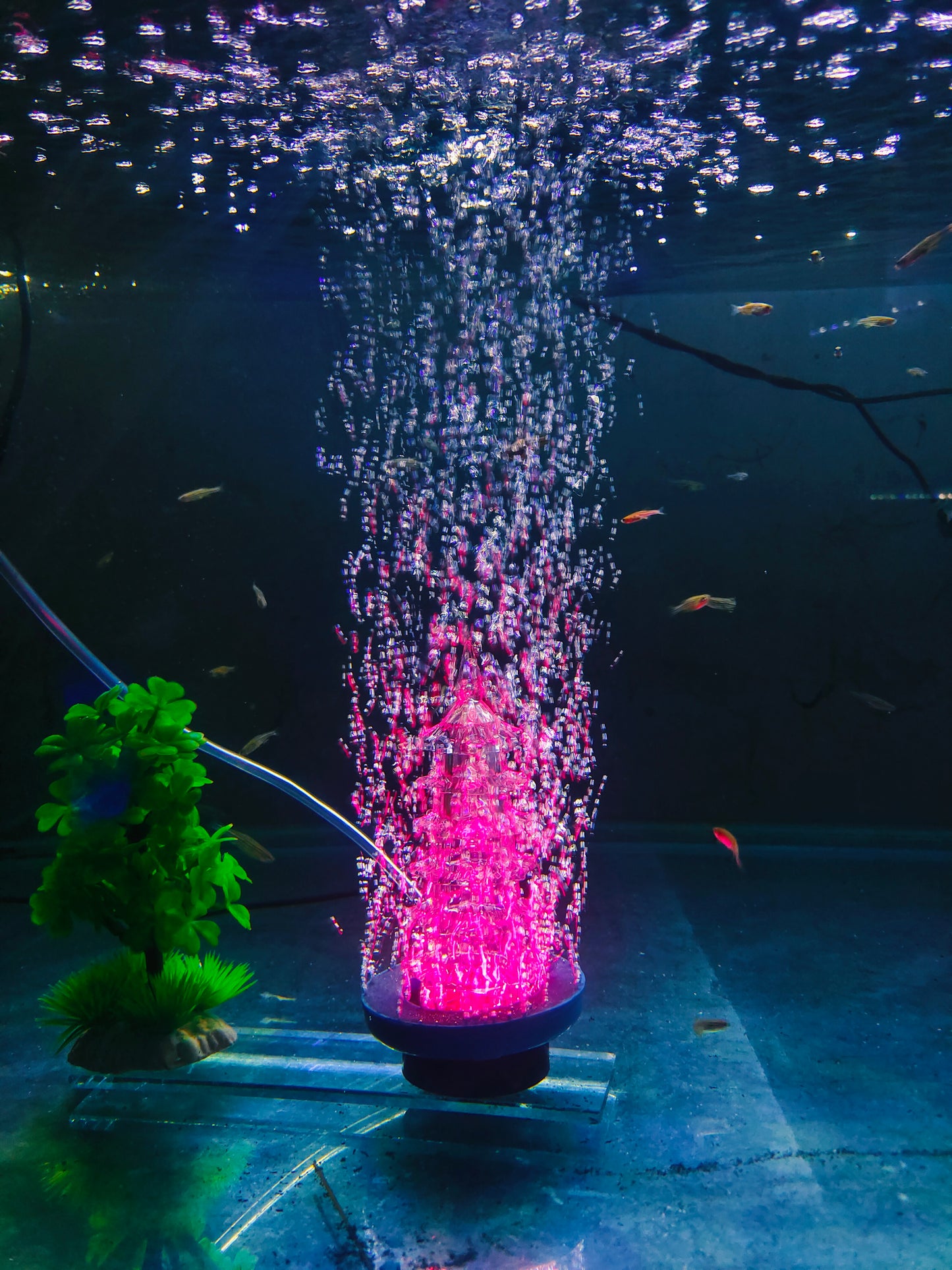 Submersible Aquarium Decoration Light