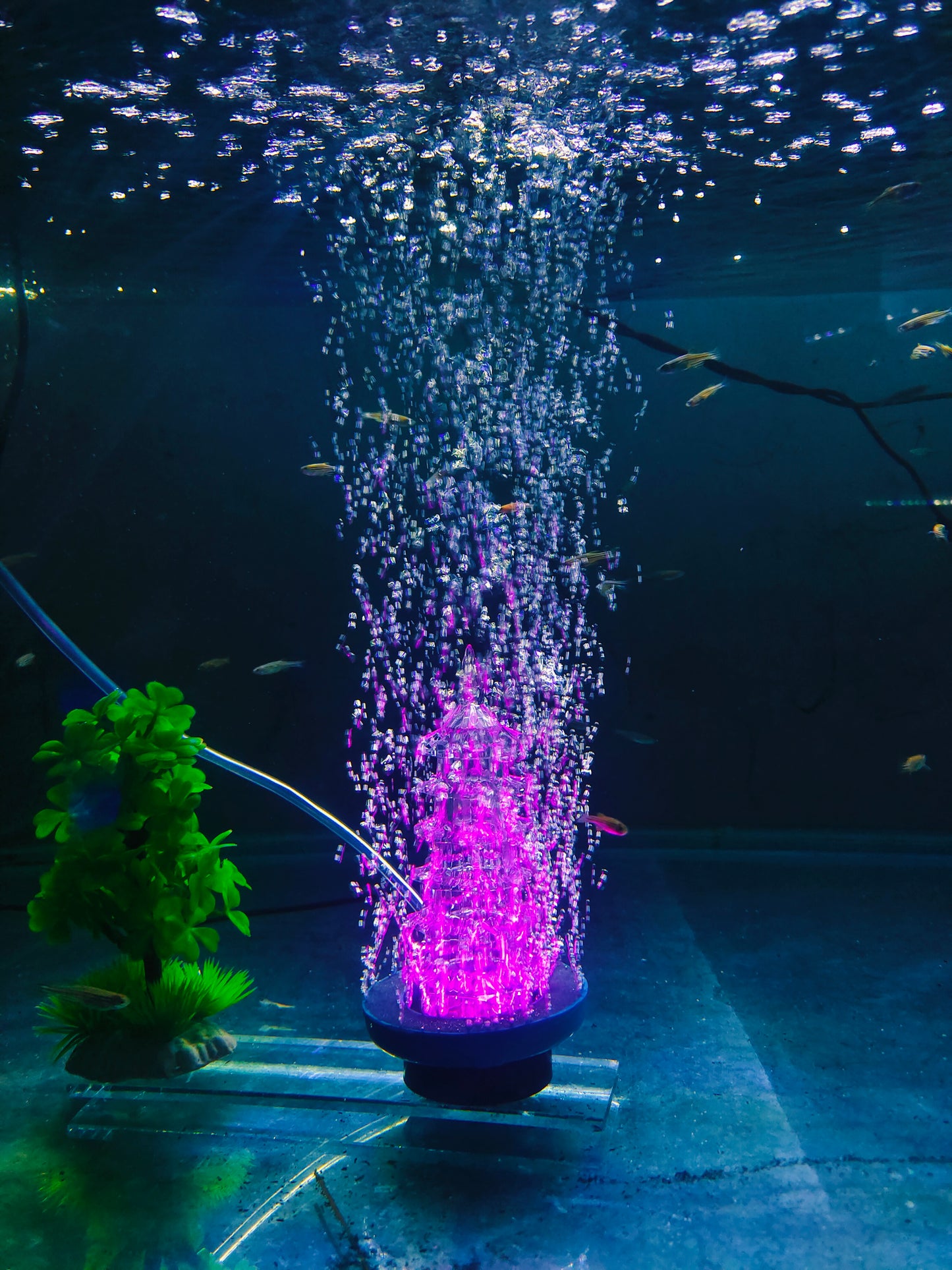 Submersible Aquarium Decoration Light
