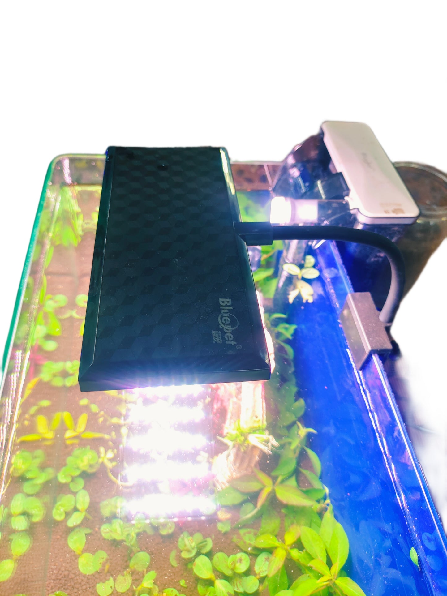 WRGB High Penetration Aquarium Light