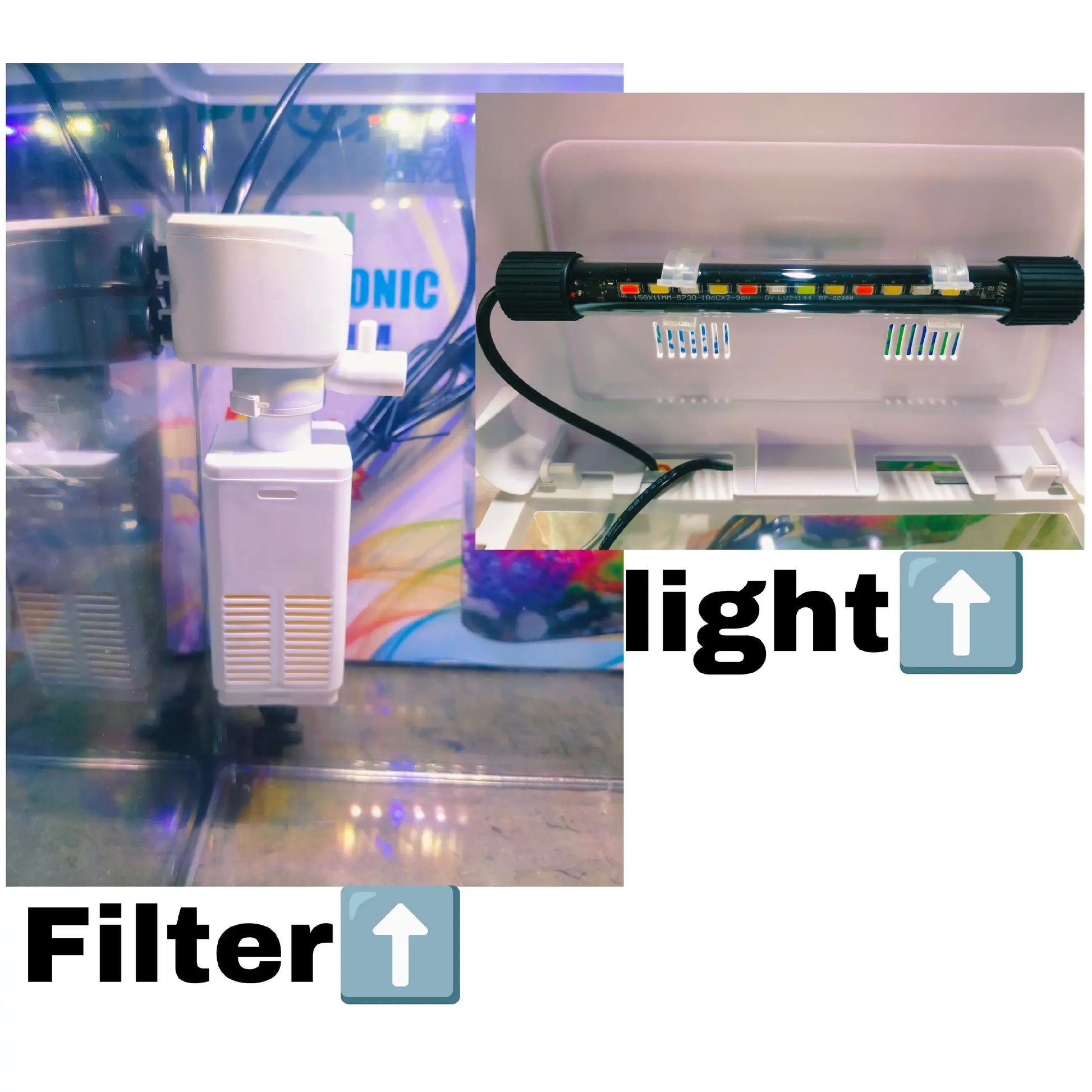 fish aquarium with filter light jyoti aquarium pets