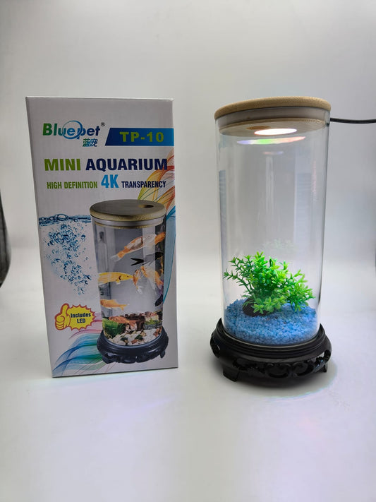 Mini Aquarium jyoti aquarium pets