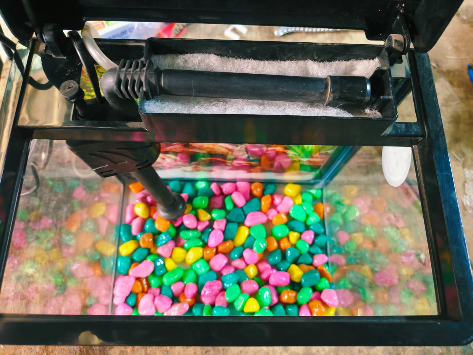 Imported Aquarium jyoti aquarium pets
