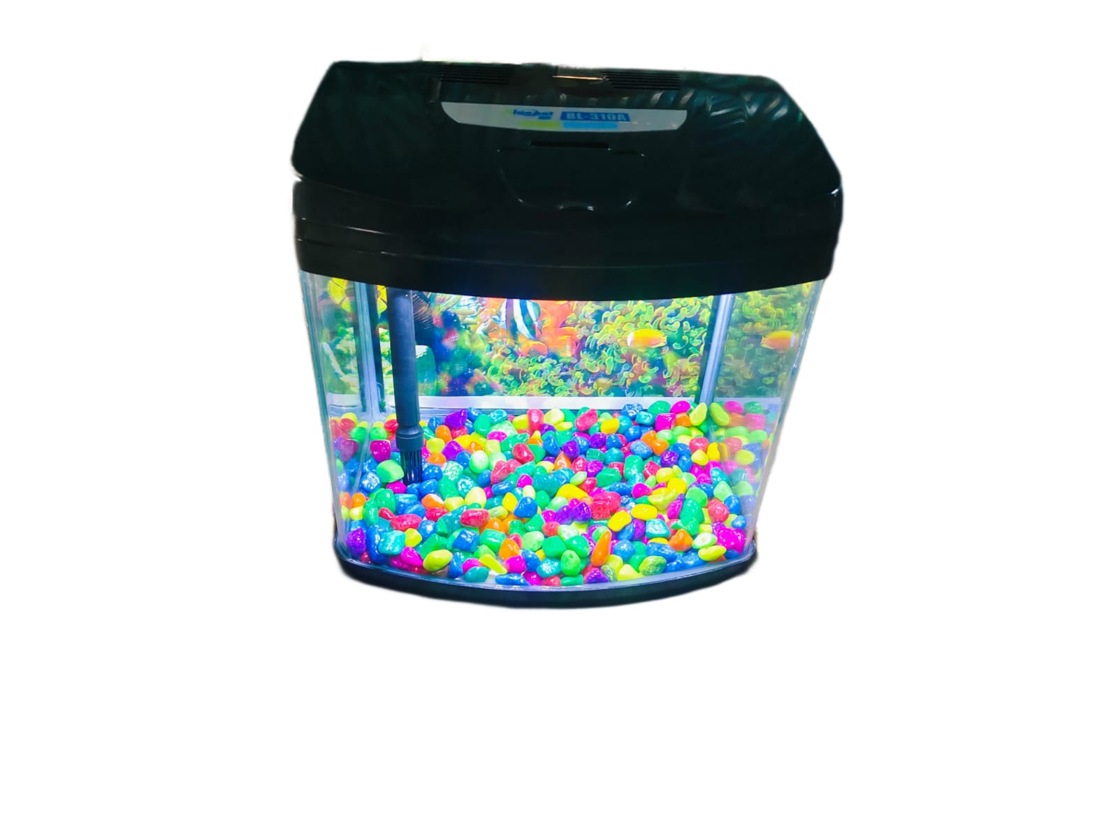Imported Aquarium jyoti aquarium pets