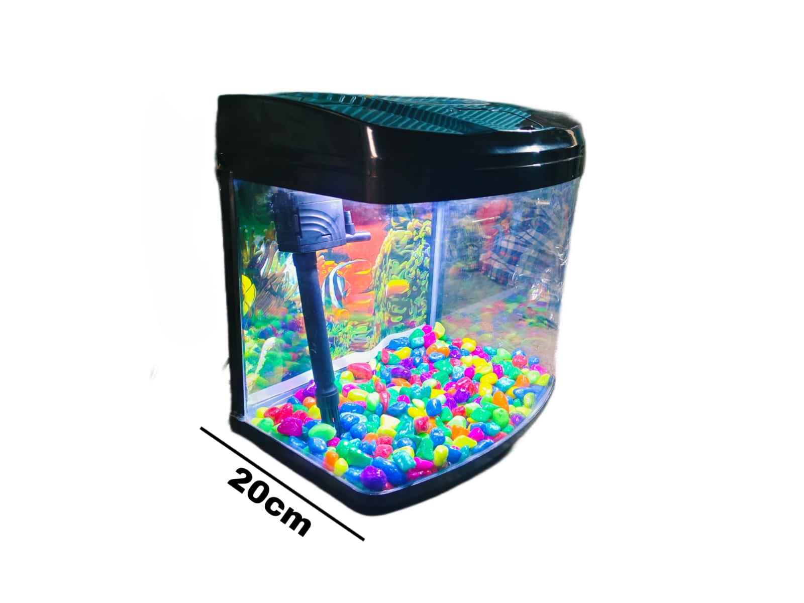 Imported Aquarium jyoti aquarium pets