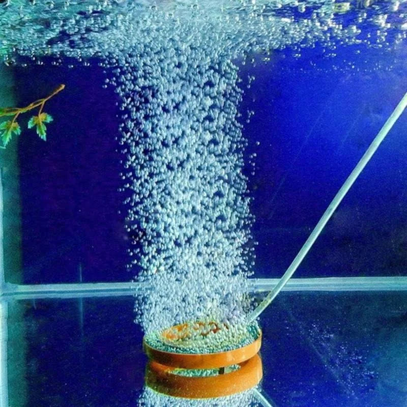 Ring Disk Bubble Aquarium Air Stone 3 Inch