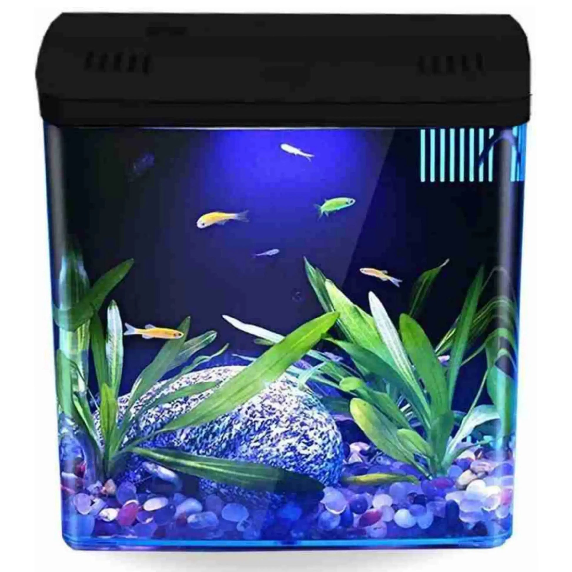 Aquarium Mini Fish Tank with filter and light jyoti aquarium pets