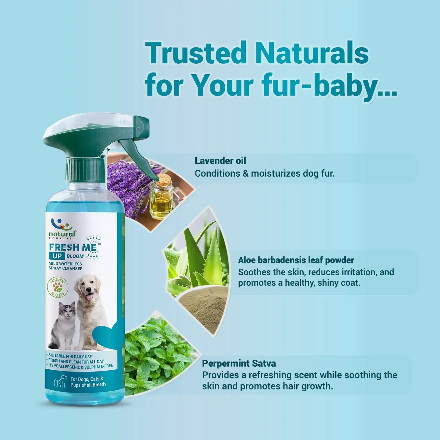 Fresh Me Up Bloom  Waterless spray cleanser for dogs and cats Dry Bath jyoti aquarium pets