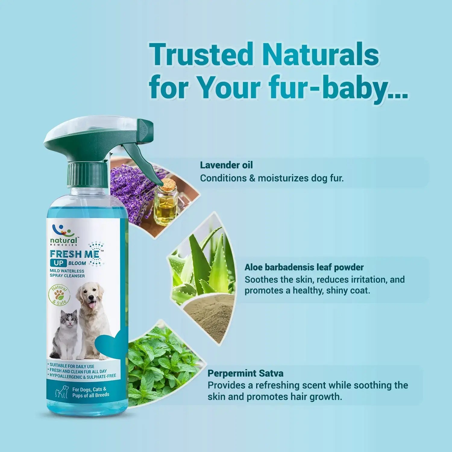 Fresh Me Up Bloom  Waterless spray cleanser for dogs and cats Dry Bath jyoti aquarium pets