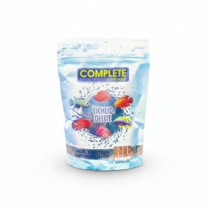 Complete gold cichlid delite