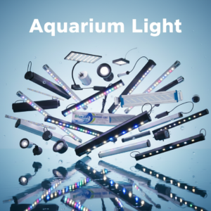 Aquarium Light