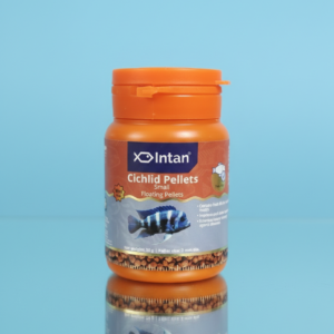 Intan Cichlid Pellets Small Floating Pellets 30g